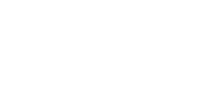 Picolo & Associados &mdash; Marine & Cargo Surveyors